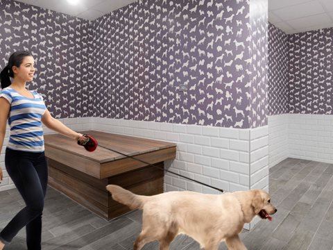 A resident uses the self-serve dog wash station at Franklin Tower